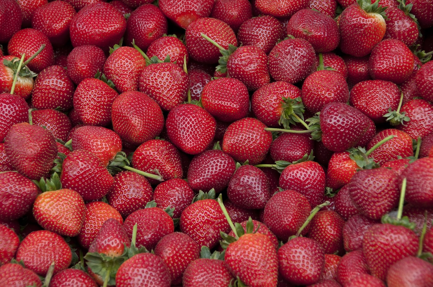 Fresh produce on a food processing line, representing the food chain organisations that ISO/TS 26030 guides toward social responsibility