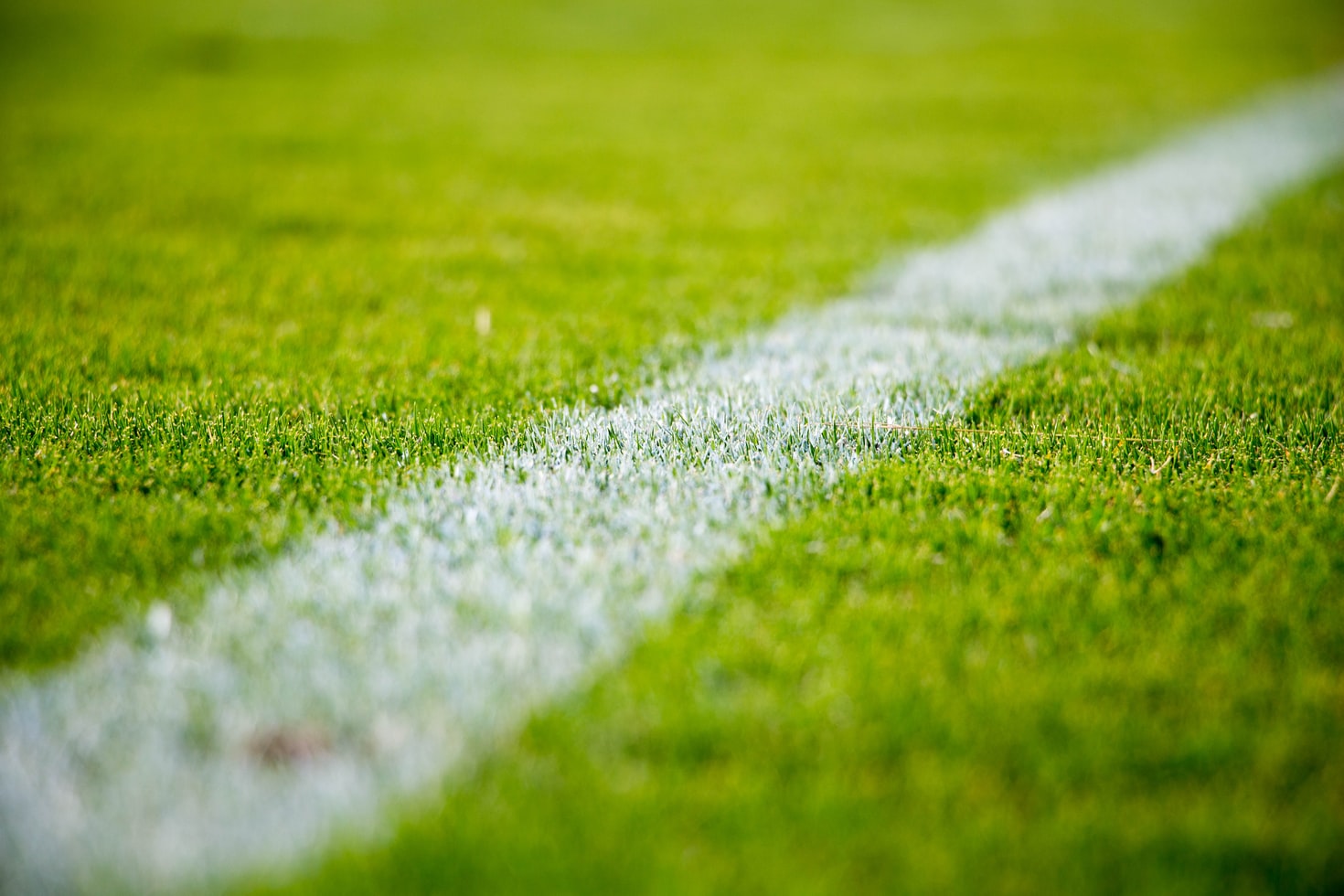 Sports facility inspector conducting a pre-event safety check of a stadium playing surface and stands